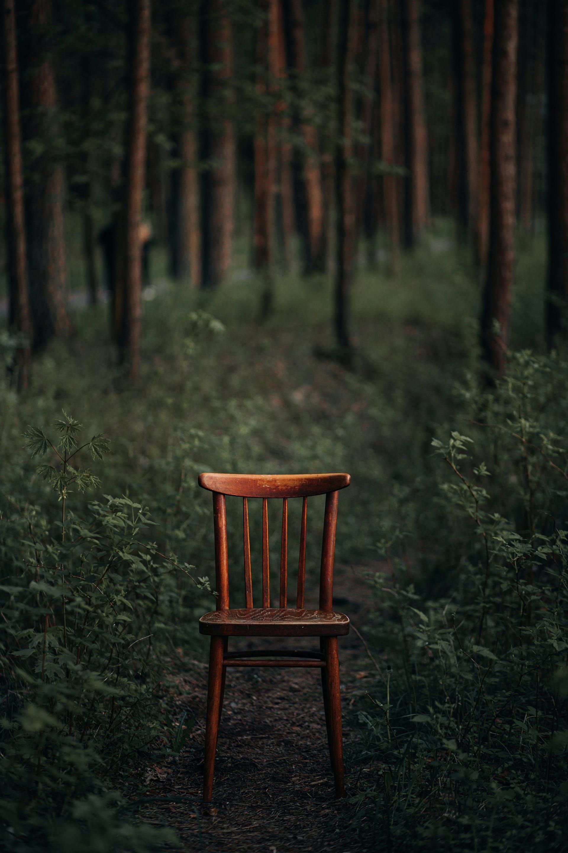 Meditáció a természetben